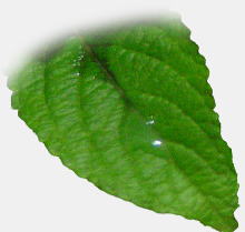 Gꂽt