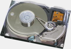 �X�P���g���ʐ^�������{